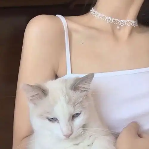 白色橄榄树让你意难平的经典句子
