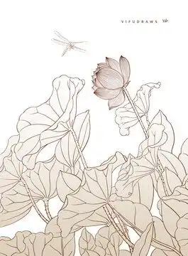 矢量荷花荷叶线稿设计模板下载设计素材素材下的植物花草设计模板
