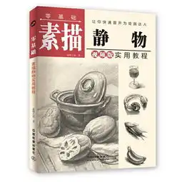 零基础素描静物实用教程视频版蓝博艺站著素描基础知识
