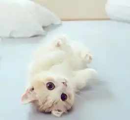 我喜欢就这样看着你看到你喜欢我为止
