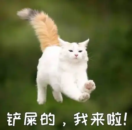 你觉得有意思的几种行为猫咪os你能不能不要折磨我
