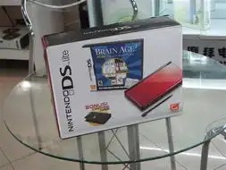 nintendondsl水晶白掌上游戏机图片,图片大全,图片下载
