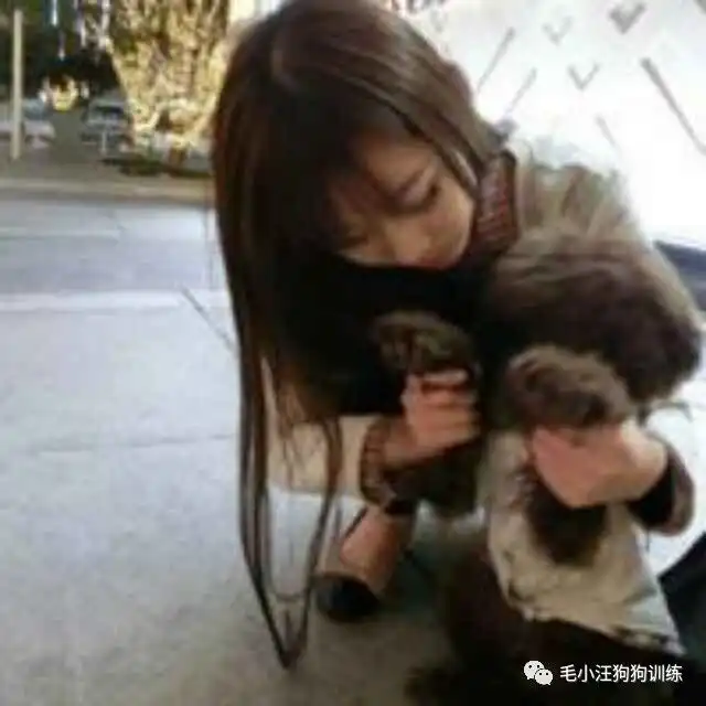 想知道二哈能不能当牧羊犬,隔天就给我答复了现在想吃狗肉
