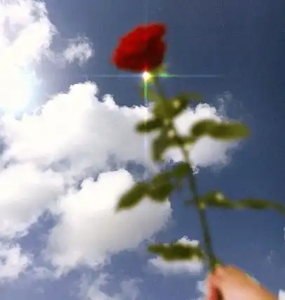 2021,我想换个方式过
