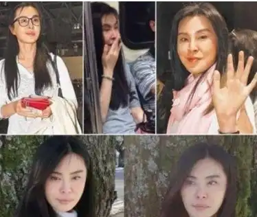 林青霞王祖贤赵雅芝朱茵杨钰莹如今这些女星谁已容颜不再
