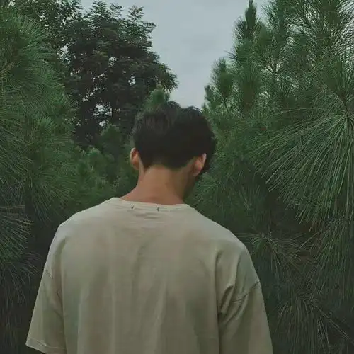 这些头像高级小众化你们爱了吗
