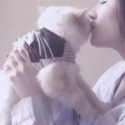 情侣头像对象不是人系列2
