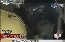 27岁男子疑因被母亲骂沉迷网游将其砸死
