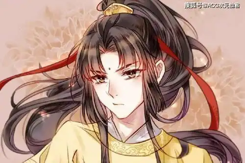 动画魔道祖师,放弃魏无羡和蓝忘机,其他单身公子中你最中意谁
