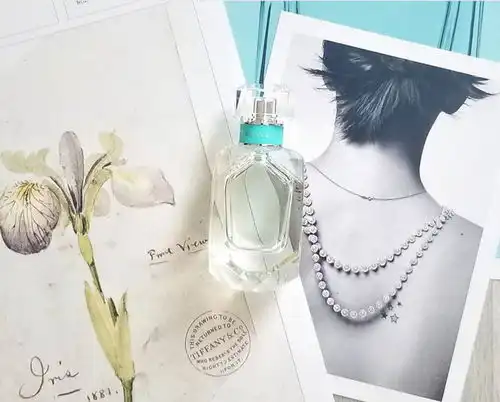 时隔14年tiffany再度推出女香薄荷绿皮革好奢华
