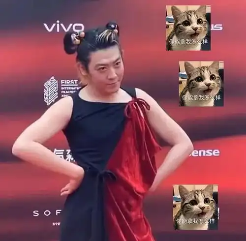 群魔乱舞瞎蹦跶,明星大胆前卫的红毯造型,咱能不这样吗
