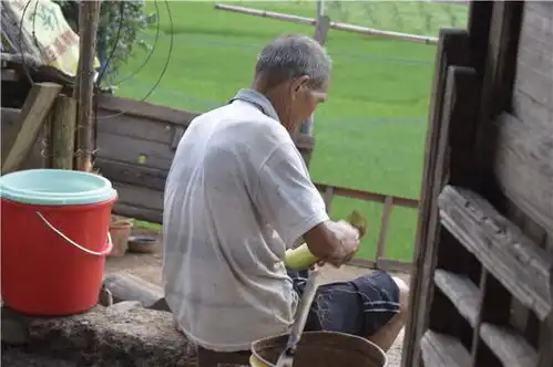 山村孩子暑假的日常,爷爷奶奶忙干农活,主动承包家里一日三餐
