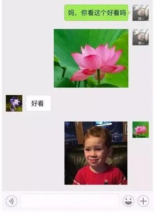 母女聊天记录曝光,因为一个头像妈妈竟然要断绝关系哈哈哈哈哈哈
