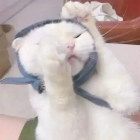 作家更关心的是了解人性,而不是判断人性
