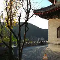 青灯古佛度流年头像微信头像图片大全
