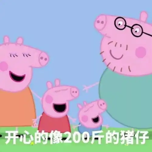 要不你去当摄影师第624期羁绊网
