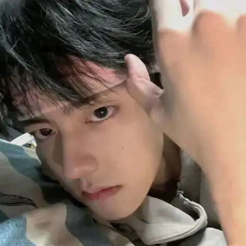 头像被安排上了
