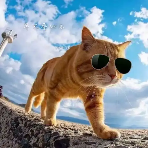 igotyoumoumou酱高音质在线试听igotyou歌词歌曲下载酷狗音乐
