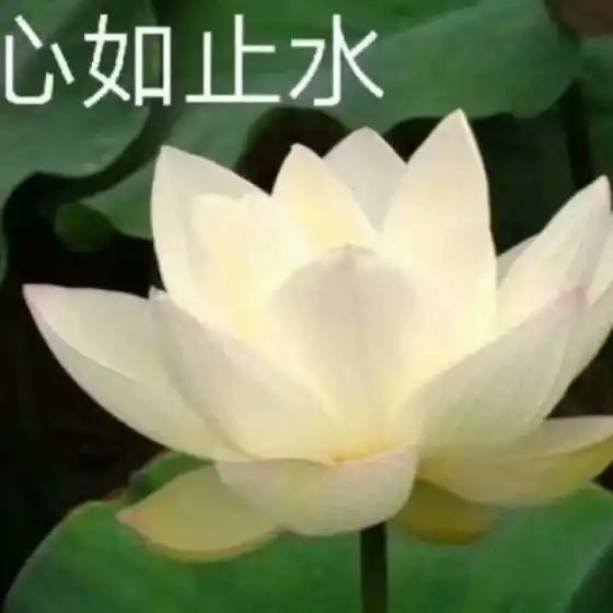 不同收入人群买手机,太真实了
