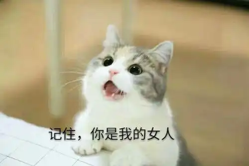 有哪些可爱的表情包
