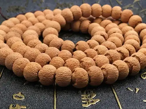 最美野生莲花菩提的图片你的手串应该这样串
