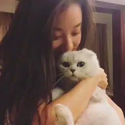 明星也没用作为猫奴友谊之船说翻就翻
