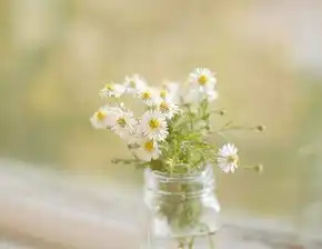 我带着记忆隔绝一切有你的消息意境图片
