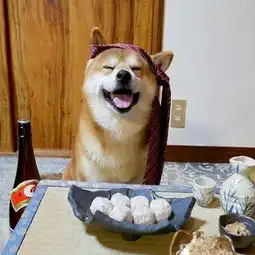 超萌超可爱的柴犬头像无水印搞怪可爱柴犬头像图片
