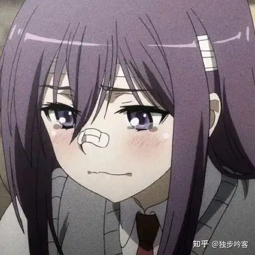 一个经常用男头的女生,突然想用女头,那应该用怎样的女头动漫的推荐一下
