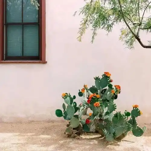 ins风小众高级感背景图
