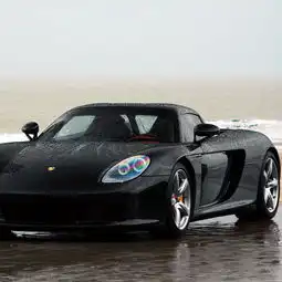 国家保护动物火烈鸟红色羽毛苹果手机高清壁纸2048x2048爱思助手
