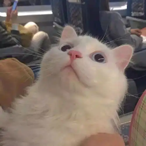 笑死人不偿命的沙雕小句子
