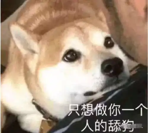 最近火了舔狗吉尼斯第一令宅男羡慕不已,第三项太热情了

