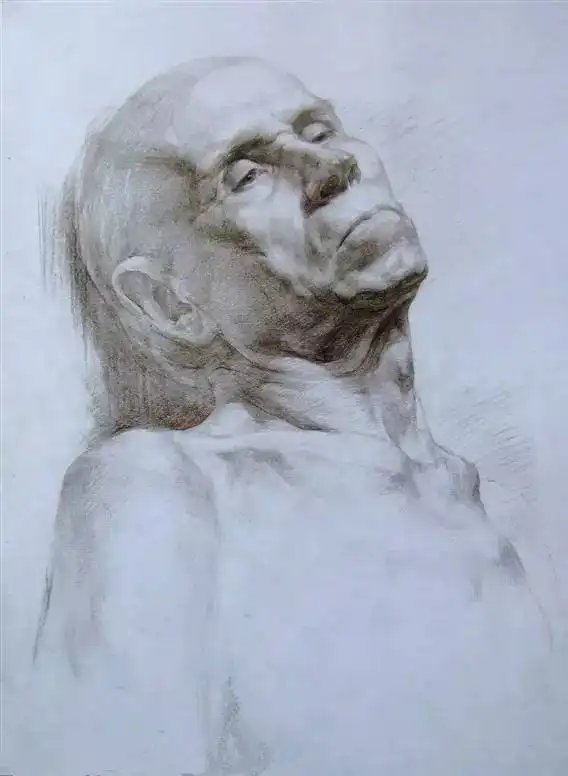 结构素描和明暗素描的秘密
