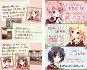 樱舞少女的轮舞pc版樱舞少女的轮舞曲电脑版下载单机游戏下载
