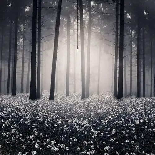 震撼有没有一张图让你特别有感觉
