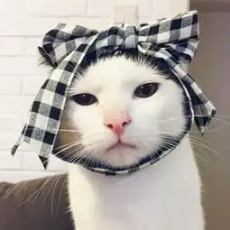 求这两张另一半完整头像

