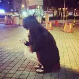 我要和第一张头像差不多的图片做qq头像,性别男的,抱着狗或猫咪
