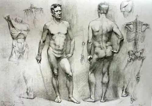 素描教程没有立体感是你不懂光影规律
