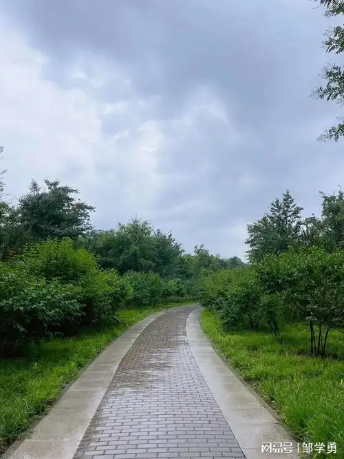 晨跑有悟做一个温柔又有力量的人
