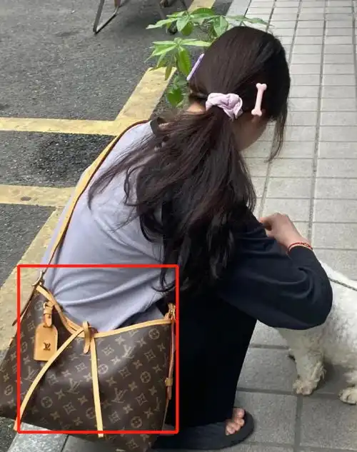 一张女大学生背影对比图,看清穷养和富养的差距,引来近千人点赞
