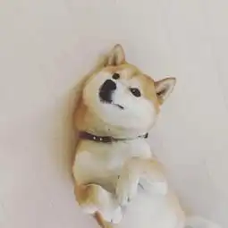 2018最新可爱呆萌的动物头像精选微信头像我要个性网
