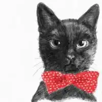 微信头像女带猫微信头像图片大全
