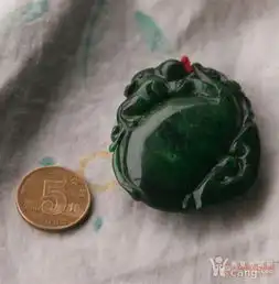 鉴定频道
