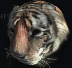 photoshop扭曲滤镜文字教程zol网络学院
