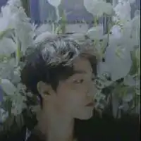 陈情令伴侣头像
