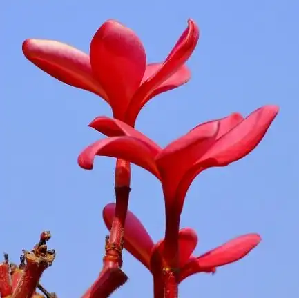 到了9月,4属相步入人生上上签,事业顺喜进门,生活幸福
