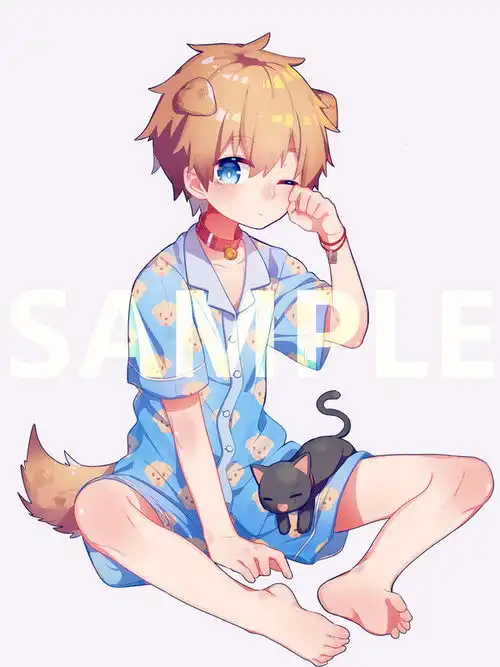 都是一个系列的猫耳少年
