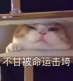 心跳加速暗恋得到回应的那一刻

