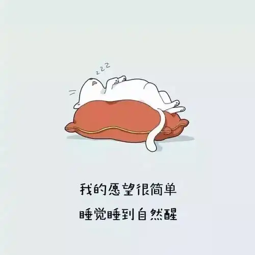 晚安小可爱
